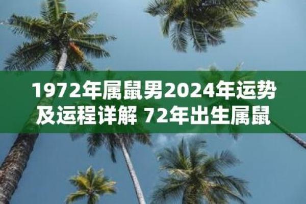 属鼠2025年运势及运程1972年出生 属鼠2025年运势及运程1972年出生