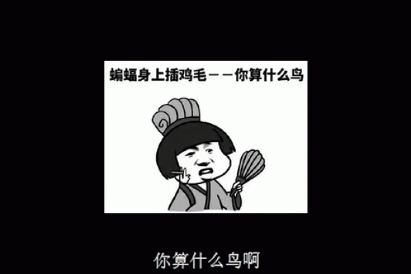 “蝙蝠身上擦鸡毛”打一生肖是什么,蝙蝠身上插鸡毛歇后语答案解释释义落实 “蝙蝠身上擦鸡毛”打一生肖是什么,蝙蝠身上插鸡毛歇后语答案解释释义落实