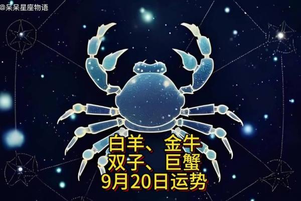第一星座网运势查询_第一星座网运势查询每日运势精准预测