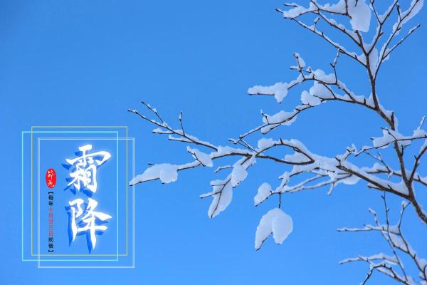 2023年霜降是几月几号 2023年霜降是几月几号