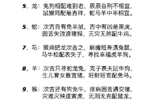 属猪男最佳婚配表揭秘最合适的生肖配对