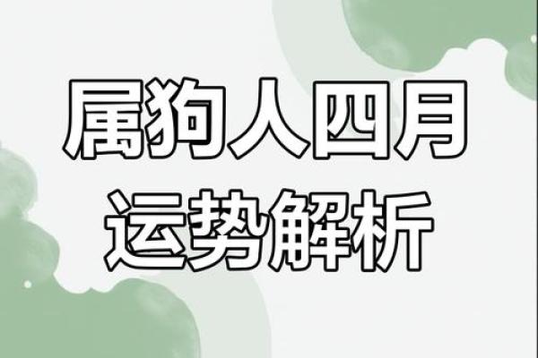 属狗虚岁多大2025_属狗的2021年虚岁多大年龄