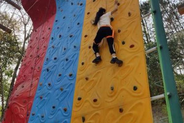 “雏鹰展翅”打一正确的生肖,雏鹰展翅打一动物答案解释释义落实 “雏鹰展翅”打一正确的生肖,雏鹰展翅打一动物答案解释释义落实