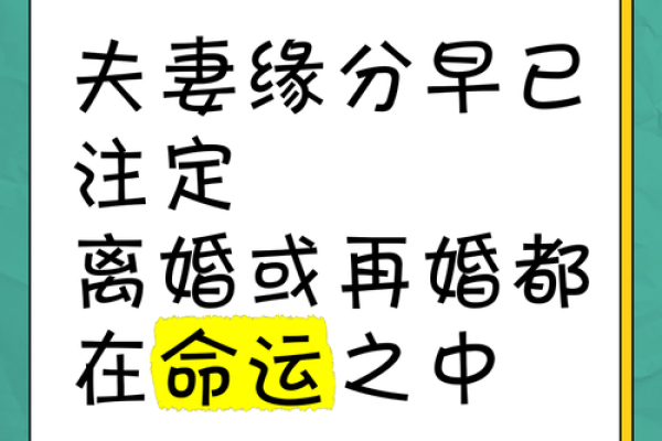 两个人的缘分真的是上天注定的吗揭秘命运与选择的奥秘