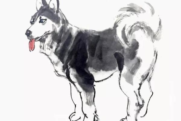 无头无尾是什么生肖(无头无尾是什么生肖一句猜像东像西)