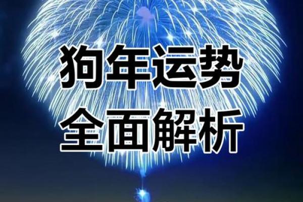 2025年属狗运势解析1982年出生者运程全揭秘