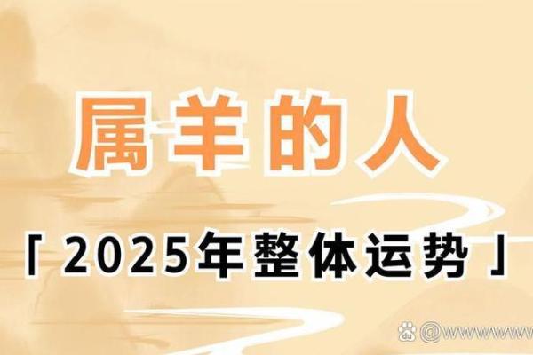属羊2025年几岁 2025年属羊人年龄揭秘你几岁了