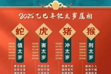 1972年鼠在2025年运势