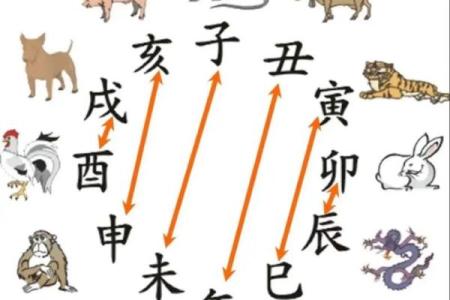 信口开河是什么生肖