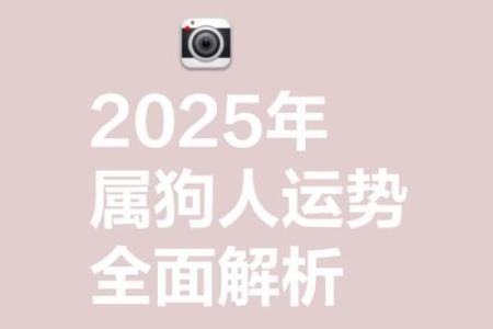 2025年属狗的_2025年属狗运势解析事业财运感情全攻略
