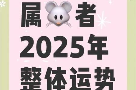 生肖鼠今年运势