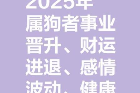 2025年属狗人的全年运势1982出生 2025年属狗男人的全年运势1982出生