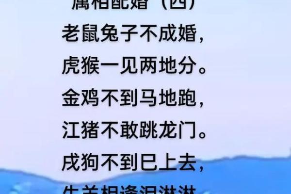 “头撞南墙”打一准确生肖，头撞南墙打一正确生肖答案解释释义落实