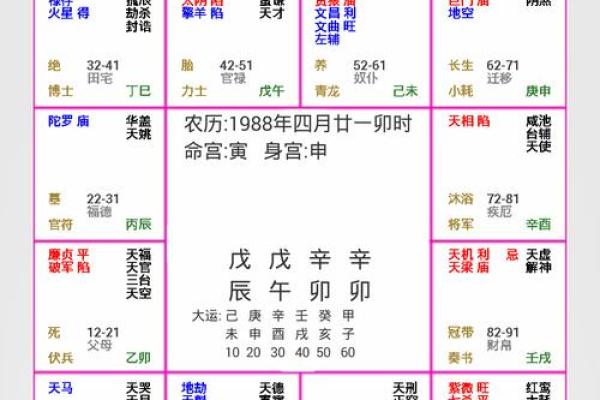 2025年4月1日卯时女命紫微斗数全解盘 2025年4月1日卯时女命紫微斗数全解盘
