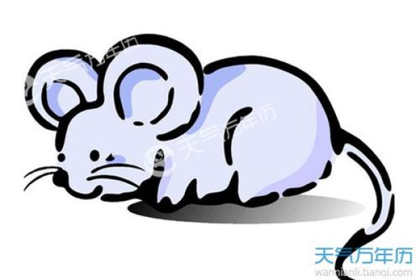 趁热打铁是什么生肖