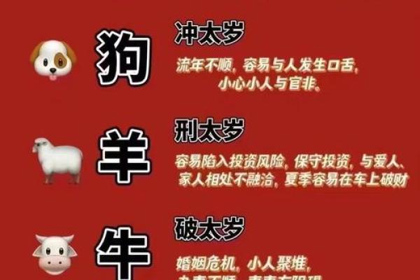 属龙的2021今年适合结婚吗 属龙的2021今年适合结婚吗