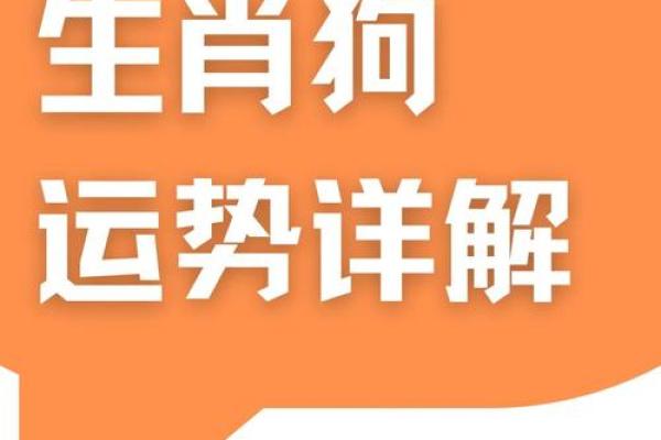一九八二年属狗2025年运势如何_1982年属狗2025年运势详解事业财运健康全解析
