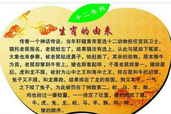 “一马当前”是什么生肖，一马答案解释释义落实
