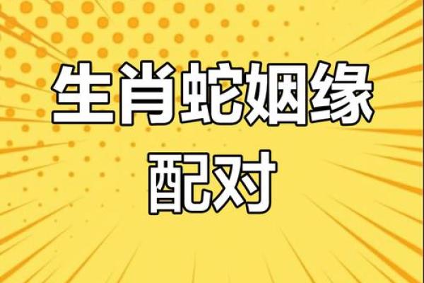 2001年属蛇和2002年属马婚配解析姻缘性格与爱情运势