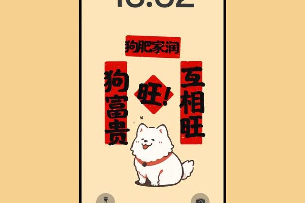 属鸡和属狗的合作财运怎么样_鸡和狗在一起谁带财