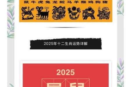2025年属鼠人的全年运势1996出生
