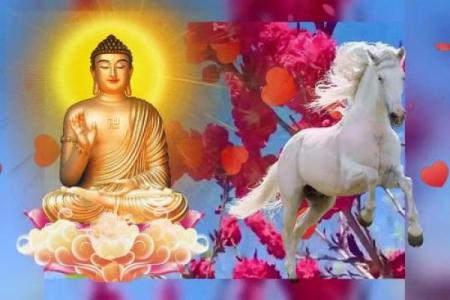 属马2025年很惨_属马2025年很惨69岁属什么的