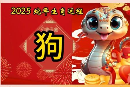 2025年属狗的运势和财运1982年 1982属狗43岁后有十年大运