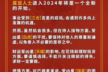 2025年属鼠运势及运程每月运程