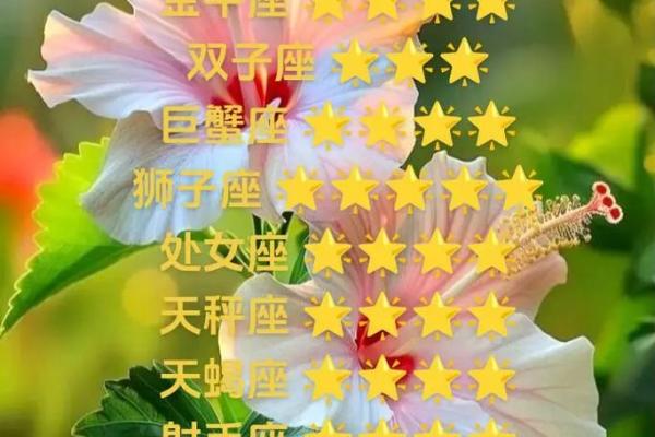 狮子座运势今日运势查询 2025年双鱼座女全年完整运气