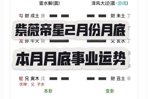 科技紫薇星座运势网_科技紫薇星座运势网2024年最新星座运势解析