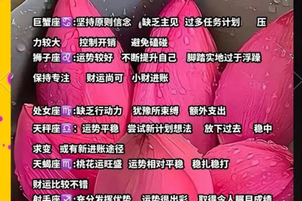 每日星座运势查询  星座屋精准运势指南