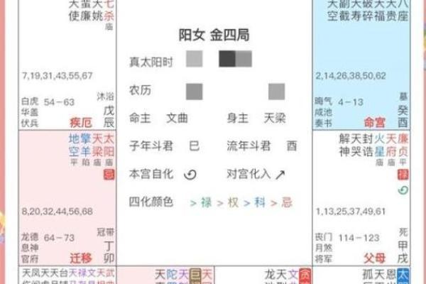 2025年4月22日寅时女命紫微斗数全解盘 2025年4月22日寅时女命紫微斗数全解盘