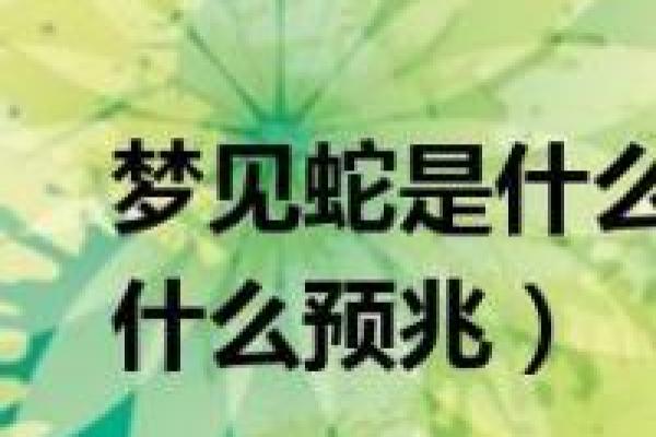 梦见大白蛇是什么预兆