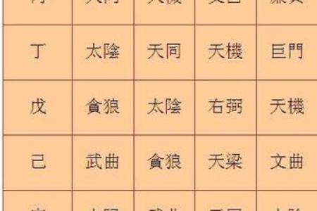 2025年4月13日卯时男命紫微斗数全解盘