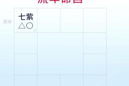 2025年4月27日辰时男命紫微斗数全解盘