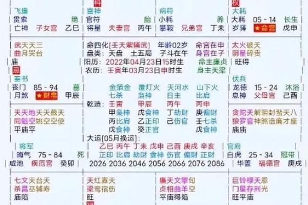 2025年4月3日巳时女命紫微斗数全解盘