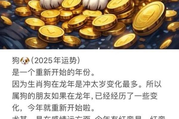 2025年狗的运势_82狗2025年运势完整版