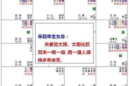 2025年4月3日巳时女命紫微斗数全解盘