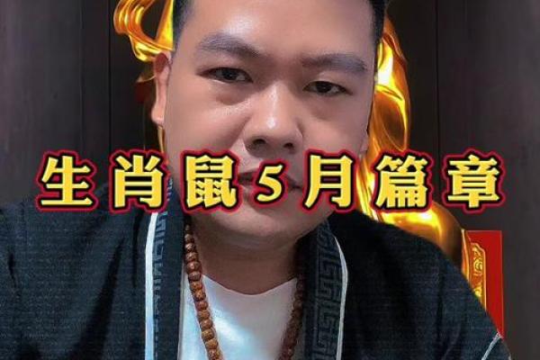 84鼠2025年运势及运程