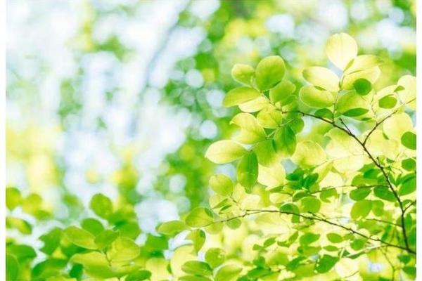 “不寒而栗”打一准确动物生肖，不寒而栗指什么生肖答案解释释义落实