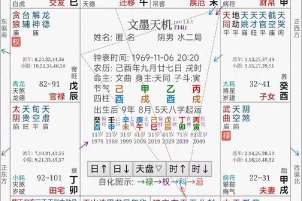 2025年4月2日巳时男命紫微斗数全解盘
