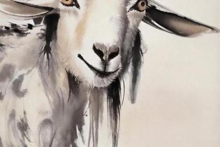 出头露面打一个生肖