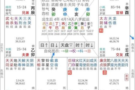 2025年4月2日巳时男命紫微斗数全解盘