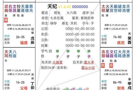 2025年4月19日午时男命紫微斗数全解盘