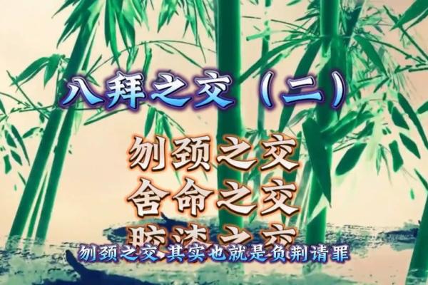 “八拜之交”打一个生肖动物，八拜之交指什么生肖答案解释释义落实