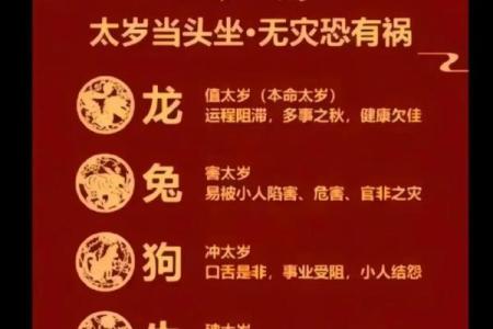 2025年属龙的命运怎么样