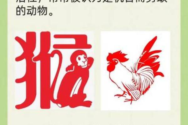 “逗留不进”是什么生肖动物，逗留不进猜一动物答案解释释义落实