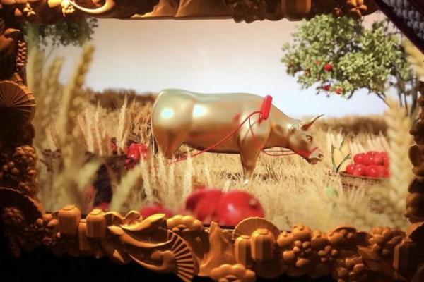 惦念家中一支梅是什生肖(惦念什么)