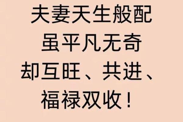 寸草春晖指什么生肖