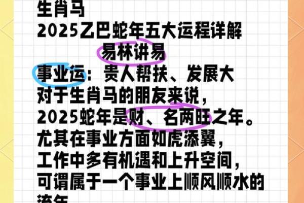 属马运势2025 2025年属马人运势解析财运事业健康全指南
